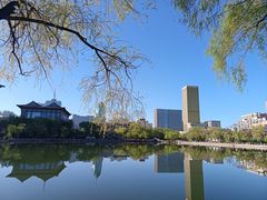 -文瀛公园