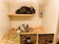 -龙猫仔乐园(惠福东路店)