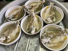 -顺和隆炖罐