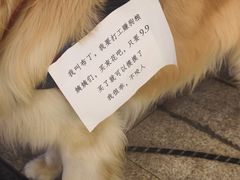 -龙湖重庆时代天街