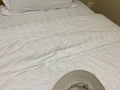 -明珠湖天鹅苑·农家菜馆