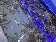 -澜悦港海鲜体验主题餐厅