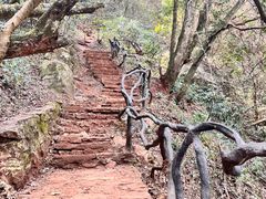 -普者黑风景区-青龙山