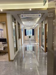 -碧莲盛·不剃发植发