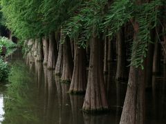 -捞渔河湿地公园