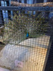 -酷嗒动物文化乐园(cutezoo西溪乐天城店)