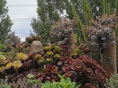 -三圣花乡旅游区