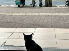 -蚝烙猪肚鸡靓汤店(华侨新村路步行街店)