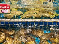 -飞尝蚝·顺德菜·鱼生(顺德总店)
