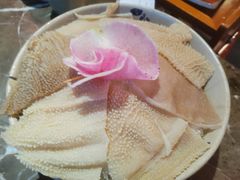 -渝大狮毛肚老火锅(遂宁万达店)