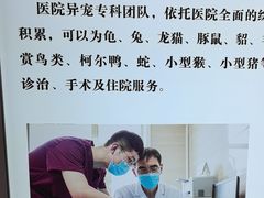 -北京观赏动物医院·24小时大型综合·猫专科·异宠专科