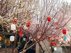-三里河公园