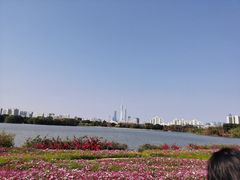 -海珠湖公园