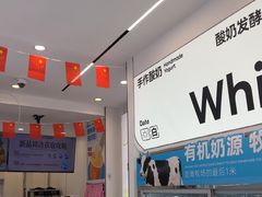 -白色日记·手作酸奶(麦凯乐店)