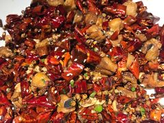 -雲蜀龙阁·金牌水煮鱼(方庄店)