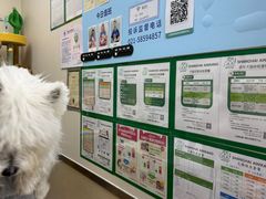 -爱妮康宠物医院·干细胞免疫细胞·肿瘤·心脏(张江店)