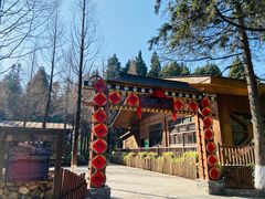 -云南民族村