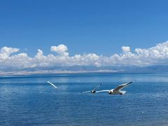 -青海湖国家重点风景名胜区