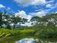 -中国科学院西双版纳热带植物园
