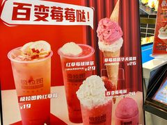 -极拉图·现制冰淇淋(大卫城店)