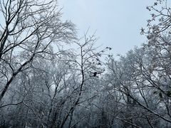 -南京市江宁方山