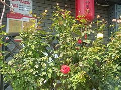 -刘妈菜馆(磁器口店)