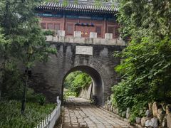 -云岗森林公园