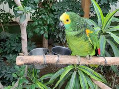 -南宫五洲植物乐园