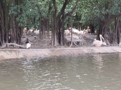 -广州长隆飞鸟乐园