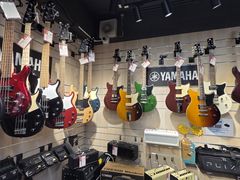 -通利琴行 - 尖沙咀(尖沙咀旗舰店)