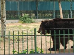 -秦皇岛野生动物园