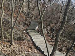 -紫金山山顶公园
