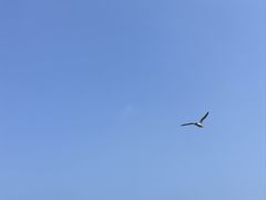 -日照世帆赛基地