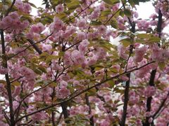 -苏州河梦清园环保主题公园