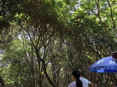 -云洞岩风景区