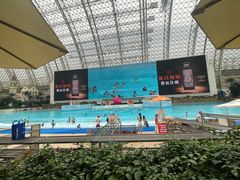 -环球中心海洋乐园