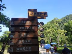 -南沙蒲洲花园