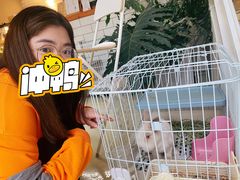-小意思咖啡店(草桥店)
