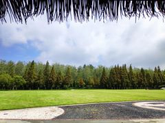 -合肥滨湖国家森林公园