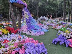 -洛阳白云山景区