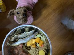 -酷狗靓猫宠物·洗护·美容·寄养(航北路店)
