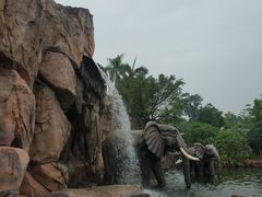 -美的鹭湖探索王国