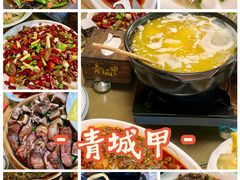 -青城甲(青城山店)