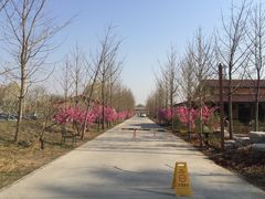 -意大利农场度假村