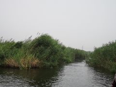-白洋淀景区