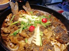 -老板恋上鱼(恒隆广场店)