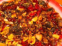 -柴窝堡22号辣子鸡·传承新疆菜