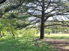 -国家植物园南园