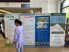 -盐城丹顶鹤湿地生态旅游区