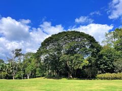 -中国科学院西双版纳热带植物园
